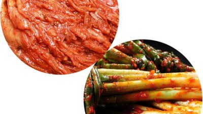 전북 진안 파김치: 솔직 후기와 꿀팁 대방출! ✨