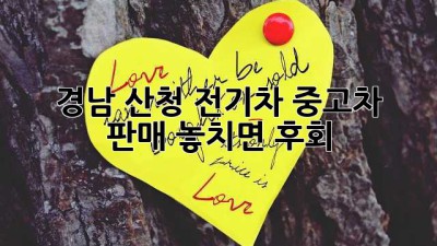 🚗 경남 산청 전기차 중고차 판매, 놓치면 후회! ⚡️