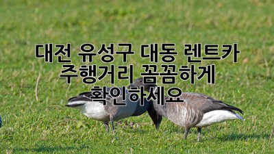 대전 유성구 대동 렌트카 주행거리, 꼼꼼하게 확인하세요!